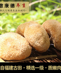 猴头菇煲汤的做法、猴头菇煲汤的做法是什么