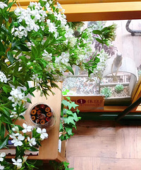 ������쵽���ܲ��ܰ���ȥ