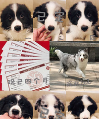 ���������ĸ��£������������ҿ��׵��˼ң�С��������ϲ�����˽�