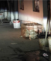 ��ɽũó�г�Ҳ���������