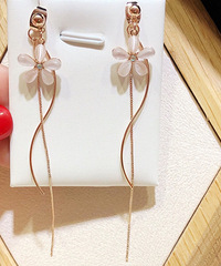 �ذ�������©����Ҫ������