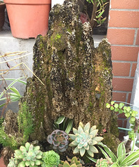 ��ϲ������