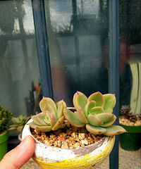 ��̫�࣬��ҵ���÷š�����һ���֣���������