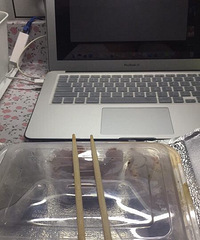 点外卖忘记点饭,店家倒也很实在!看着好好笑…