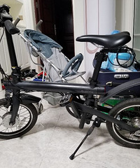 С�׵�������