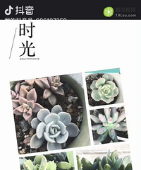 ��ϲ���Ķ���