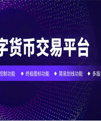 恒展国际有限公司数字货币交易平台更适合国内用户使用
