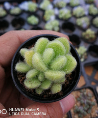 �⼾�ڵĶ���