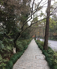 杭州麦芽庭艺术酒店试睡报告