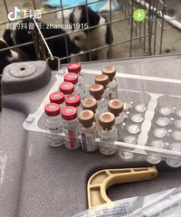 ������Ѫͳ��ĸ����