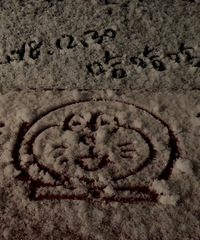 �������������