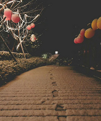 �����ֳ�