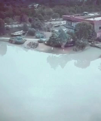 �����蹫��