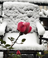 2018年第二场雪