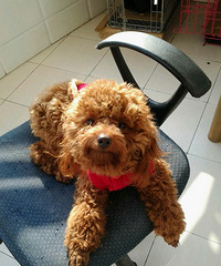 ������̩�ϳ���