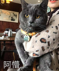 猫友群元旦聚会~~~~~