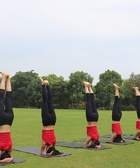 ��������