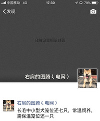 ���ڼ�������