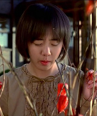 图解电影《蔷花,红莲》一个少女的连环奸杀案