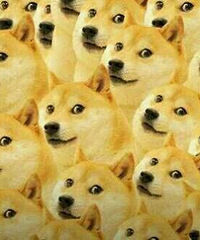 �����ģ�