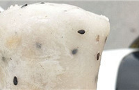 [����]С�ܼҵ���ʳ����ͯ�����