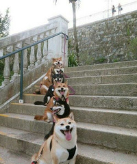 �Ҹ���������з�   ��