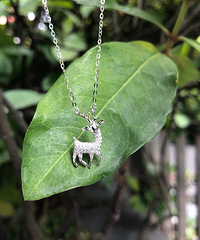 18k�����꣬��������