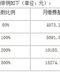 19年灵活就业人员社保标准
