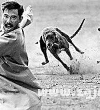 ����İ��У�