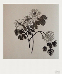 国画、水彩画、丙烯临摹画,统统难不倒一个努力的人