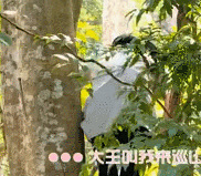 他们的“戏精”时代都好可爱~