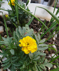 ��Ҫһ���ˣ�������죬���ˣ�