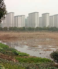 �����еĴ���ʮ��