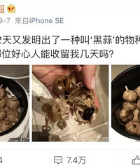 孙俪逼疯邓超:真正的“中年危机”,都是从这件事开始