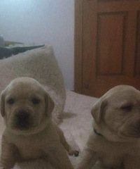 ��Ѱ�����������Ȯ