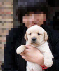 ��Ѱ�����������Ȯ