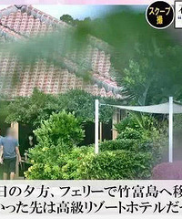 石原里美被曝已做好结婚准备,石原父母与准女婿见面对他赞不绝
