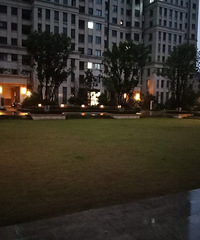 【九张图】打卡+美景