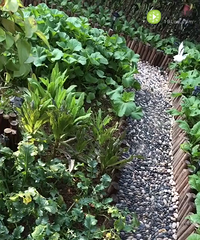 ���ڳ�̫����