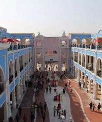 ˵ʮģ¸˹ɳ˹ĸֵȥ