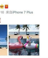恋爱已收官,他俩就差一纸分手声明了?