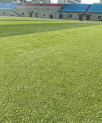 ��Υ��̫���������ҵ��ˣ�����ɹɹ����ķ�