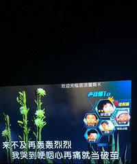宁缺毋滥吧!