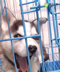 ��ʿ��һ��һĸ �ؼ�888