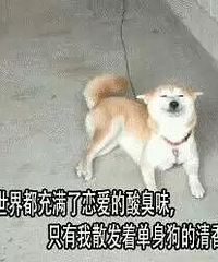 真心交友