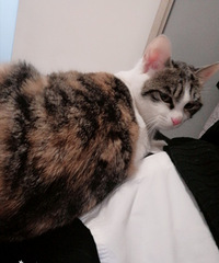 ����һ������Ѿ