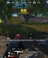 游戏 吃鸡小分队