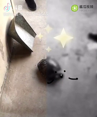 ���Ϻã�����������˰�������