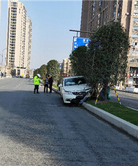 ���֣�����Ҳ�ܿ����̻����ϣ�