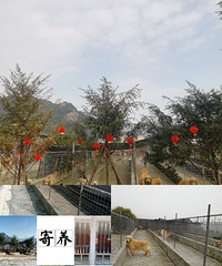 ����Ȯ��רҵ�������